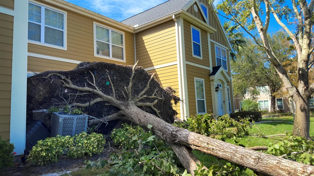 五年暴涨70%！美国房主保险费用飙升